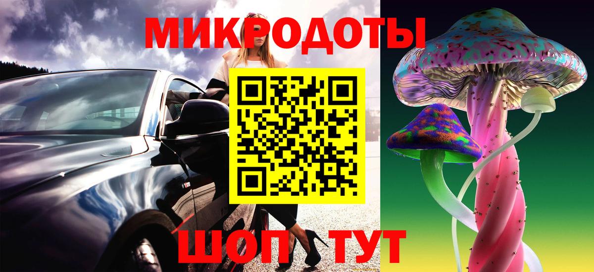 Псилоцибиновые грибы Psilocybe Ревда